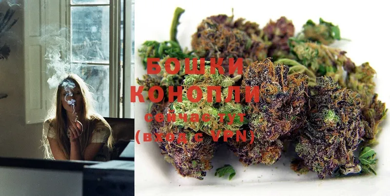 Конопля White Widow  Гусев 